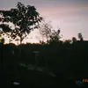 blimp_22