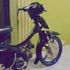 lendra598