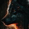 jwolf1881