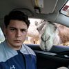 iamjackswastedlife