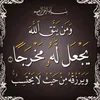 user7381004715277