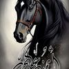🔱 أيمن علي🔱 🇯🇴🐎🇯🇴