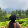 diahaayu_2