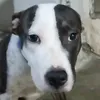 killuazyzx