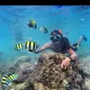 devymsi_120796