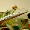 el_planespotter.halimpk