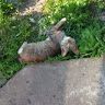 sergey_57r