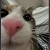 eshkere333333