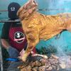 rusdidee76