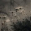 gdubywjhejs