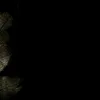 .queen.moon00