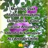 user3567786544444