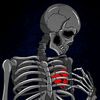 greybones_523