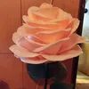 nataa_888