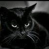.musayev.972