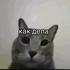 neetmeat