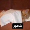 somayaramadan6