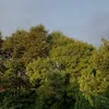 k8tea.ie