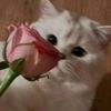 karima_kim0