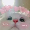 _booyyyyy