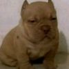maikel_12_00
