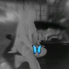 malakmagdy085