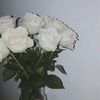 arawww12__