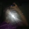 whos_reinx
