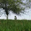 patrycja7239