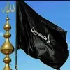 alialsade82