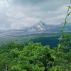 monabundanyaramy