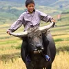 tuan_.bo