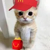 chelheah