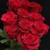 dyt2jb6a80zx