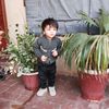shanzy.ali786