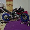 alfonsus79