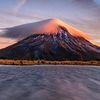 nz_carnage344
