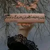 naima52365