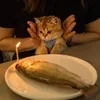 oilpsy