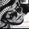 user2869523869530