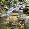 manalu.com1