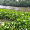 minhtri.84l1