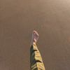 muhamadfadlly_