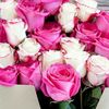 user2104386260073111
