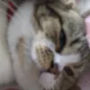 ngokurumi2