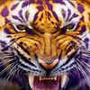 lsuwin1111