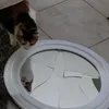 alkinoosprovatas