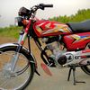 sammar512s