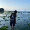 shndysaputra