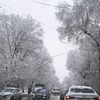 kamiljan321